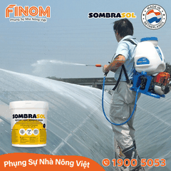 Sơn chống nóng nhà màng Sombrasol