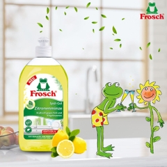 Nước Rửa Chén Hữu Cơ Frosch 500ml (Hương Lô Hội/ Chanh/ Mâm Xôi)
