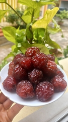 Mận hậu sấy dẻo Mộc Châu túi 500gr