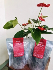 Mận sấy dẻo hũ 500gr