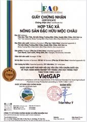 Cam canh Mộc Châu
