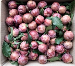 Mận sấy dẻo trứ danh Mộc Châu hũ 500gr