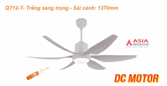 Quạt Trần 6 cánh QT12-T - Trắng sang trọng - Asia Lighting