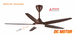 Quạt Trần Đèn DC QT09-G-02 - Gỗ tự nhiên - Asia Lighting