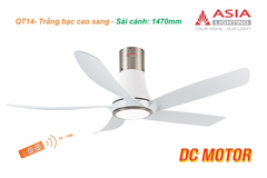 Quạt Trần Đèn Trang Trí QT14-TB Trắng Bạc Cao Cấp – Động Cơ DC