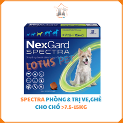 NexGard Spectra - Thuốc phòng trị ve, xổ giun cho chó >7.5-15KG