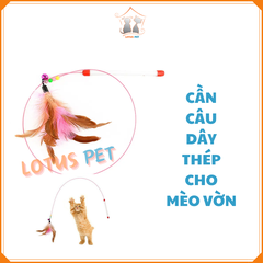 Cần câu dây thép cho mèo