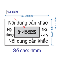 Hộp dấu chữ nhật 30*50mm dater (YYYY-MM-DD) Shiny S827D