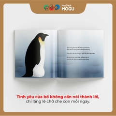 Trên chân bố