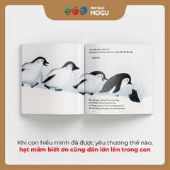 Trên chân bố