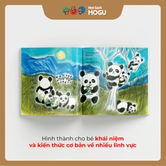 Có Thật Nhiều Ông Trăng