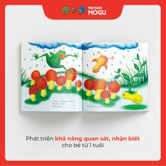 Bạn Chim Cút Chơi Trốn Tìm