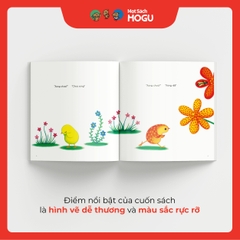 Bạn Chim Cút Chơi Trốn Tìm