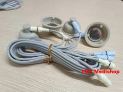 ĐIỆN CỰC CHÉN