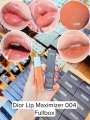 Son Dior Lip Maximizer