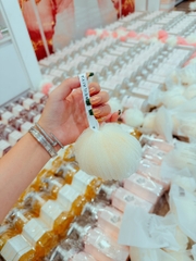 Bông Tắm Weilaiya