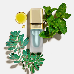 Son Dưỡng Dolce & Gabbana Mint Oil Lip Plumper