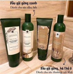 Cặp Dầu Gội Hà Thủ Ô WEILAIYA