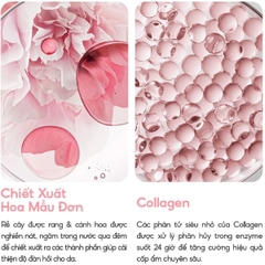 Mặt Nạ Ngủ Laneige Bouncy & Firm Sleeping Mask