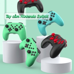 Tay cầm cho Nintendo Switch chính hãng Dobe