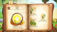 yoshi and the mysterious book physical edition