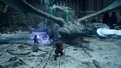Dragon's Dogma 2 Dark Arisen chiến đấu cùng đồng hành Pawn