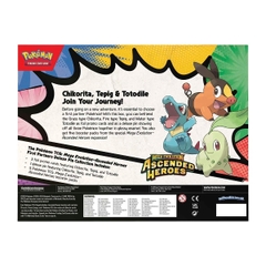 pokemon tcg chikorita tepig totodile collection box