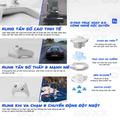 Tay Cầm Flydigi Direwolf 4 Polling Rate 1000Hz, Hall Effect, Joystick Tùy Chỉnh Lực cho Nintendo Switch, PC, Laptop