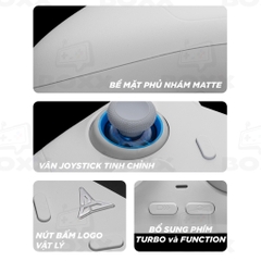 Tay Cầm Flydigi Direwolf 4 Polling Rate 1000Hz, Hall Effect, Joystick Tùy Chỉnh Lực cho Nintendo Switch, PC, Laptop