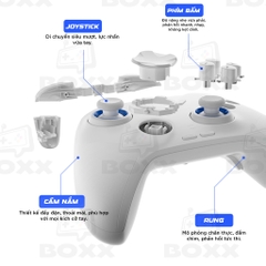 Tay Cầm Flydigi Direwolf 4 Polling Rate 1000Hz, Hall Effect, Joystick Tùy Chỉnh Lực cho Nintendo Switch, PC, Laptop