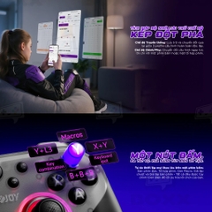Tay Cầm Chơi Game LeadJoy Saber Plus