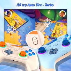 Tay cầm chơi game IINE Aurora Wireless nút bấm cơ cho Nintendo Switch