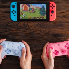 Tay cầm 8Bitdo Ultimate 2C Bluetooth Controller cho Nintendo Switch Oled