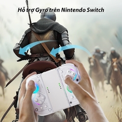 Tay cầm Aolion J20, Aolion J20 Joycons trang bị phím cơ, Hall Effect, Gyro, LED RGB