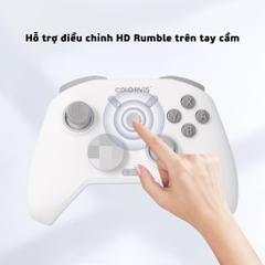 Tay Cầm COIORVIS Pro HD phím cơ, Hall Effect, Gyro, HD Rumble cho PC, Laptop, Nintendo Switch