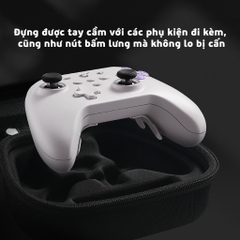 Túi đựng Tay cầm GuliKit KK3 Max, KK3 Pro, KK3, KingKong 2 Pro, Xbox One S, Xbox Series X