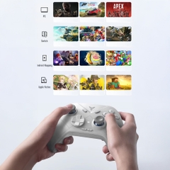 Tay cầm Flydigi Direwolf 3 hỗ trợ Macro, Polling Rate 1000Hz cho Nintendo Switch, PC, Laptop