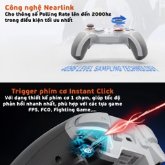 Tay cầm BIGBIGWON Blitz 2 TMR cho Nintendo Switch, PC, Laptop