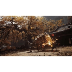 Đĩa Game Black Myth Wukong PS5