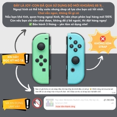 Tay cầm Nintendo Switch Joy-Con, Bộ tay cầm Joy Con chính hãng