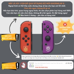 Tay cầm Nintendo Switch Joy-Con, Bộ tay cầm Joy Con chính hãng