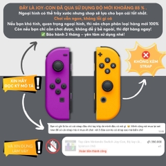 Tay cầm Nintendo Switch Joy-Con, Bộ tay cầm Joy Con chính hãng