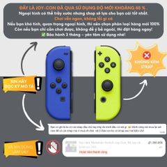 Tay cầm Nintendo Switch Joy-Con, Bộ tay cầm Joy Con chính hãng