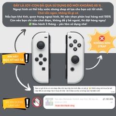 Tay cầm Nintendo Switch Joy-Con, Bộ tay cầm Joy Con chính hãng