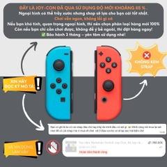 Tay cầm Nintendo Switch Joy-Con, Bộ tay cầm Joy Con chính hãng