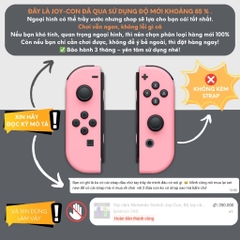 Tay cầm Nintendo Switch Joy-Con, Bộ tay cầm Joy Con chính hãng