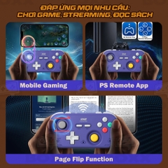 Tay cầm IINE Retro Pocket Game Controller cho Nintendo Switch