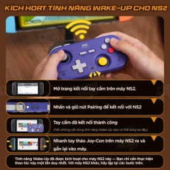 Tay cầm IINE Retro Pocket Game Controller cho Nintendo Switch