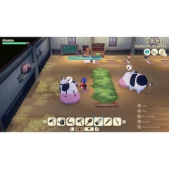 Băng Game Story of Seasons Grand Bazaar Nintendo Switch