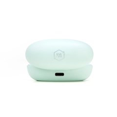 Tai Nghe True Wireless Semi-in-ear  Alpha Works BEAN 300